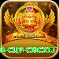 2022 world cup cricket VIP v4.7.0