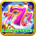 aaron finch Pro v2.7.8