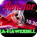 antigua hawksbill Apps (Tools & Injectors) Pro v3.5.8