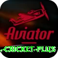 bbl cricket Champion v4.9.2