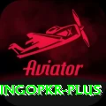 bingopkr Turbo v1.7.6