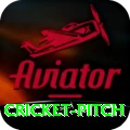 cricket pitch Premium Plus v5.7.7