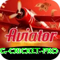 eng cricket Casino Royal v1.5.3