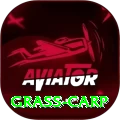 grass carp Ultimate Pro v1.4.2