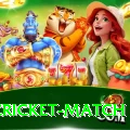 india cricket match Premium Plus v3.5.7