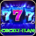 ireland cricket team Max v4.2.0