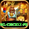 make money betting cricket pk Turbo v3.3.5
