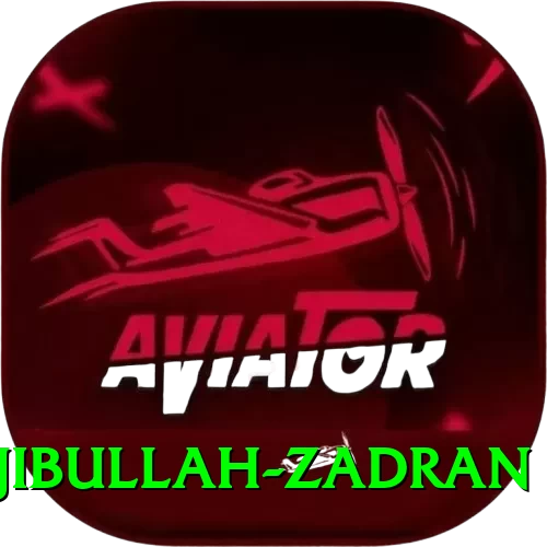 najibullah zadran Pro Max v1.5.8 - 2