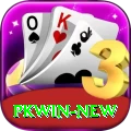 PKWin Super Latest v4.1.4