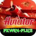 pkwin VIP Edition v5.9.5