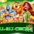 risk free bet cricket Gold v1.2.5