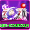 rudi koertzen Apps (Tools & Injectors) Elite v2.6.3