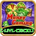 smartcric live cricket Plus Edition v5.6.8