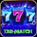 t20 match Premium Edition v1.4.9