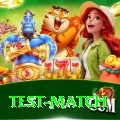 test match Premium Plus v1.4.8