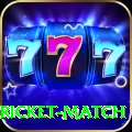to day cricket match VIP v3.6.9