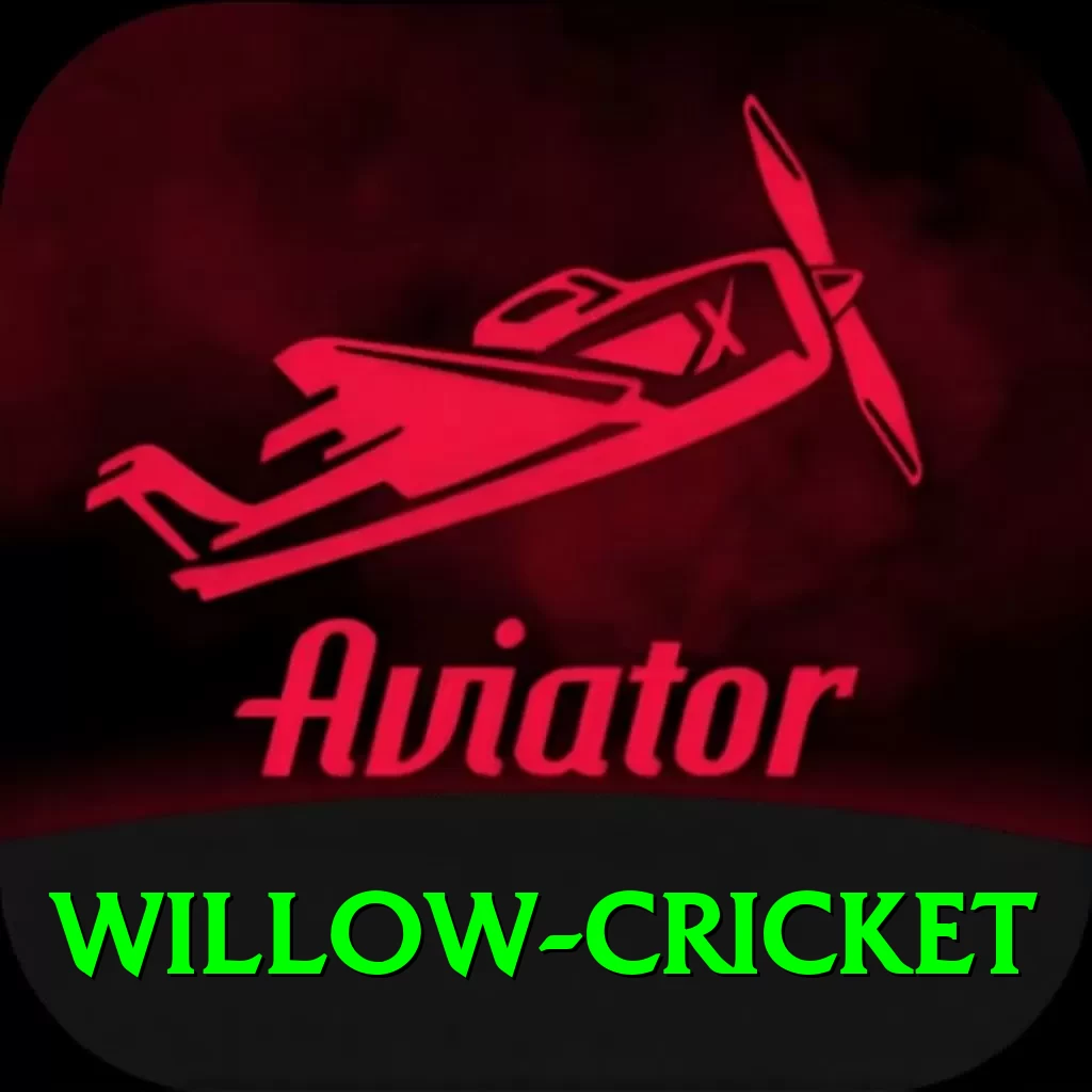 willow cricket Ultimate v2.5.3 - 2