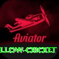 willow cricket Ultimate v2.5.3
