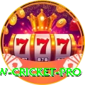 willow cricket VIP 2024